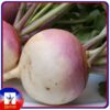 Fresh turnip 500g