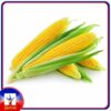 Fresh Sweet corn 1kg