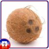 Coconut India 1pc