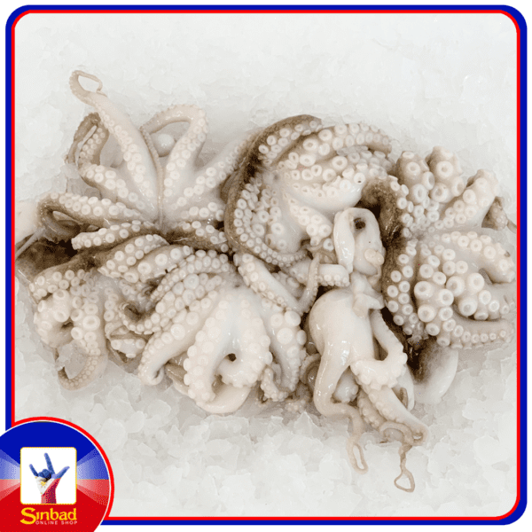 Baby octopus ( Pugita ) Per Kilo