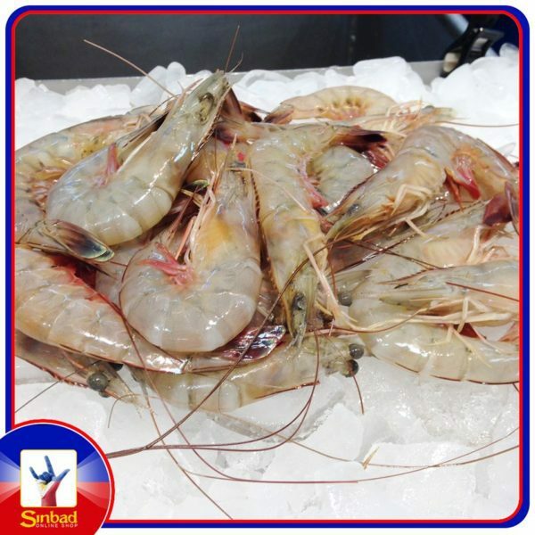 Fresh shrimp per kilo